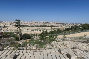 Discover Seamless Hajj Packages From Canada for 2025